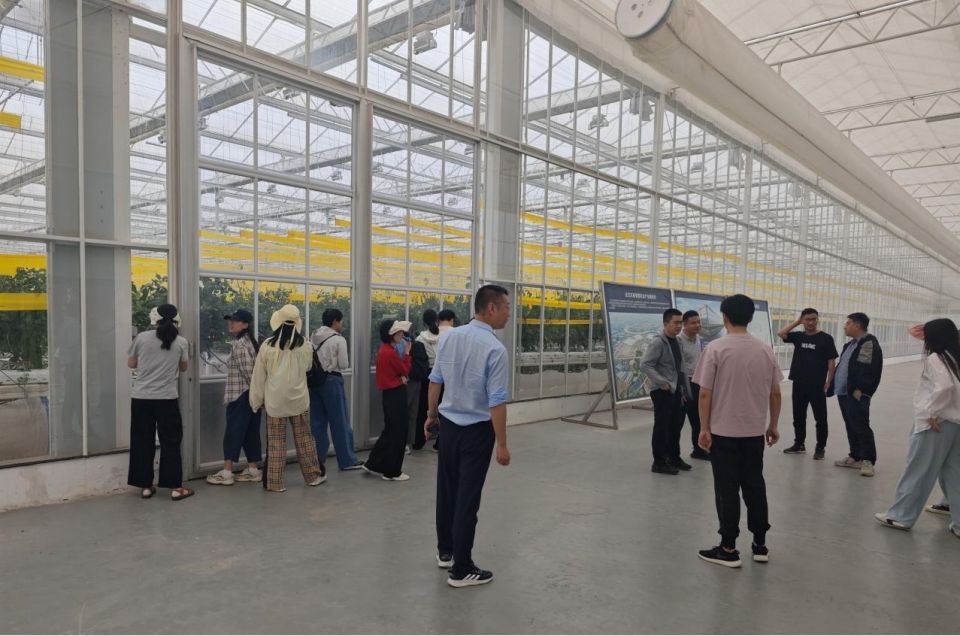 PP电子·仿照器(试玩游戏)官方网站
