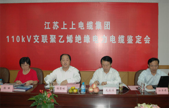 凯发k8额定电压110kV交联聚乙烯绝缘电力电缆产品通过判断