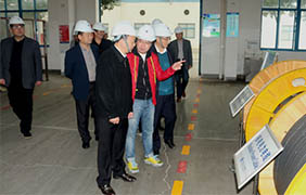 2015年11月22日，，，，郎溪县党政代表团一行来凯发k8电缆旅行考察