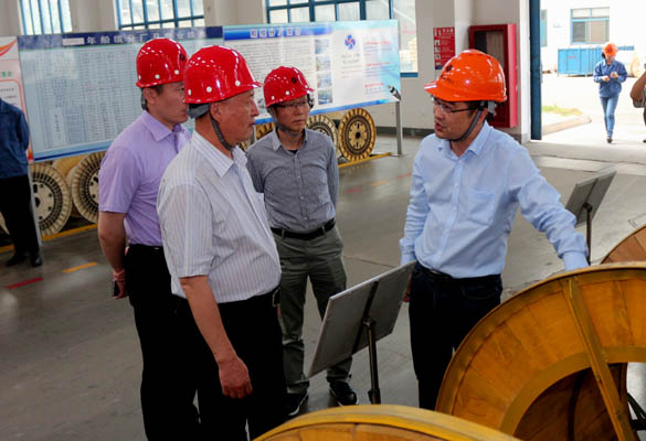 2016年5月14日，，，，，，，宁夏回族自治区人民政府研究室副主任苏昀一行来凯发k8电缆调研