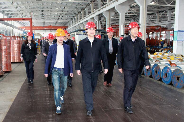 南京市六合区党政代表团来凯发k8电缆旅行考察