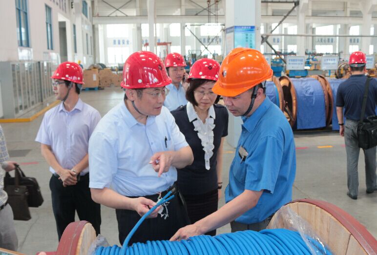 2016年7月22日，，，，，，，泸州市委常委、副市长王建翔一行来凯发k8电缆旅行考察