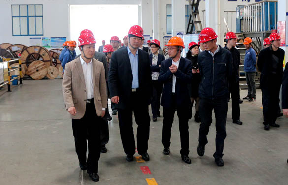 常州市副市长李小平一行来凯发k8电缆考察