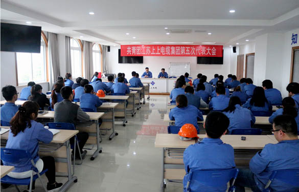 2016年4月20日，，，，，，，共青团凯发k8第五次代表大会召开