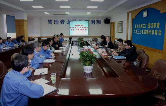 凯发k8电缆顺遂通过南方电网公司工厂现场审查