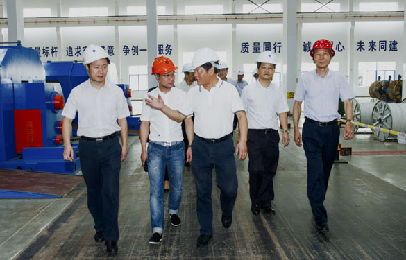 金坛区党政向导来凯发k8电缆旅行考察