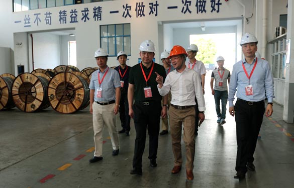 靖江市、溧阳市青商会齐聚凯发k8电缆旅行交流