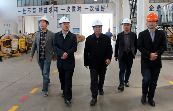 2015年3月26日，，，，江苏省射阳县向导一行来凯发k8电缆视察