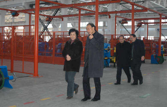 江苏省经信委副主任顾瑜芳一行来凯发k8调研