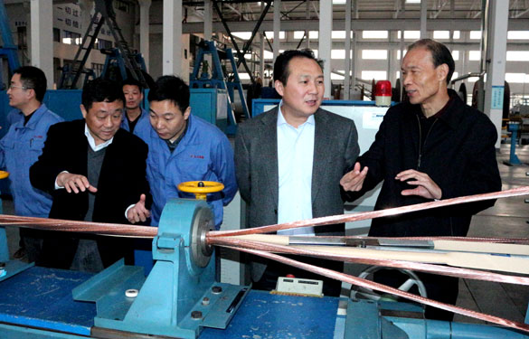 溧阳市供电公司总司理徐国平一行来凯发k8集团考察