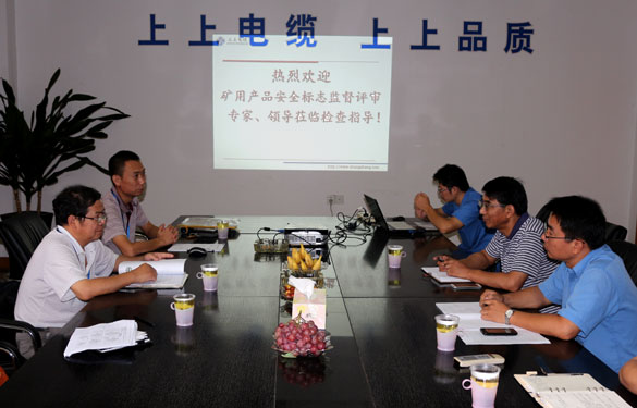 凯发k8顺遂通过安标现场监视评审