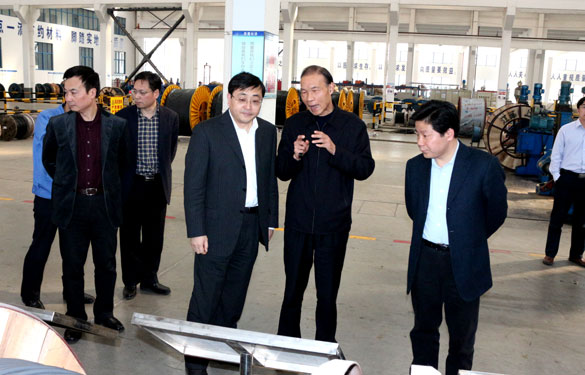 常州市委副书记、市政府党组书记费高云来凯发k8集团调研