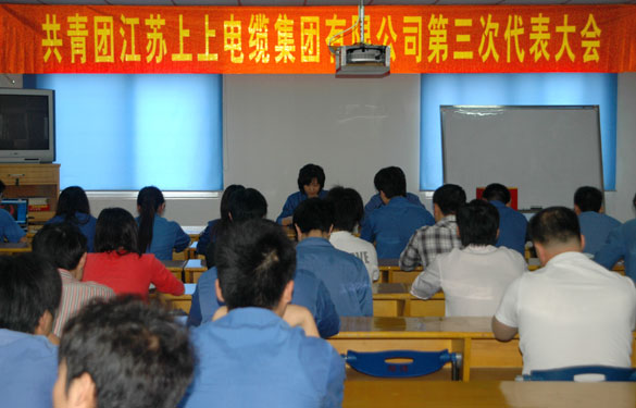 共青团凯发k8第三届代表大会暨换届选举大会胜利召开