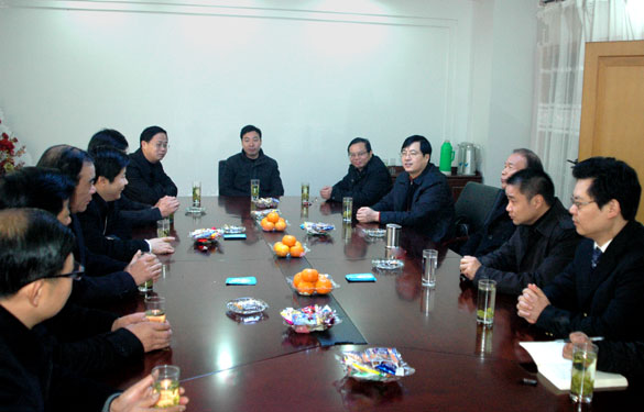 溧阳市代市长苏江华一行来凯发k8集团走访