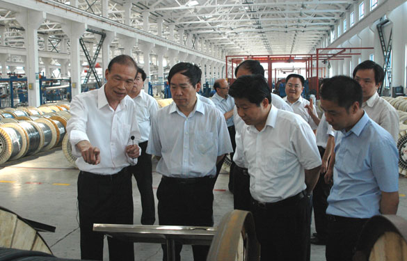 江苏省省长助理、省科技厅厅长徐南平来凯发k8集团调研