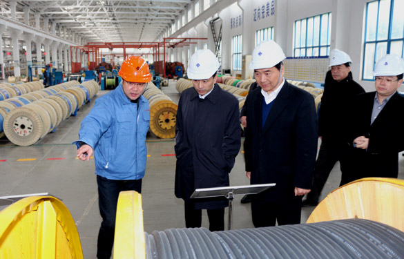 12月3日，，，，无锡市锡山区党政代表团一行来凯发k8电缆旅行考察