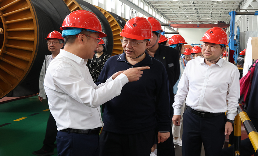 14位两院院士和专家学者到访凯发k8电缆