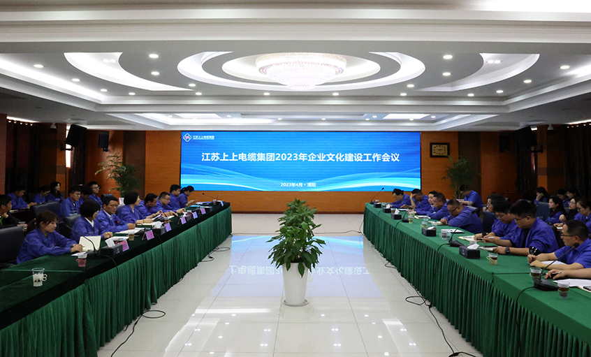 凯发k8电缆召开2023年企业文化建设事情聚会