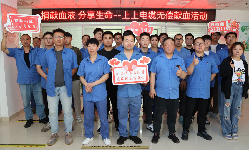 爱心整体献热血 无私贡献传温情 凯发k8电缆助力第20个“天下献血者日”