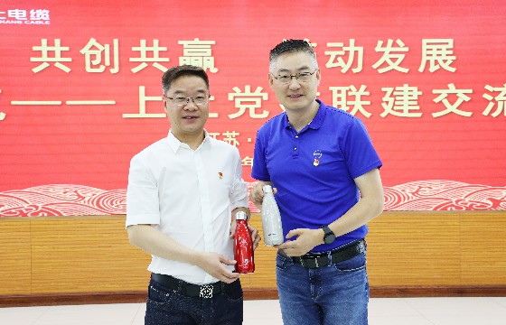 凯发k8电缆和上汽集团立异研发总院开展党建联建交流会