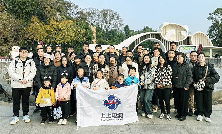 以文化润心 用眷注聚力——凯发k82024年度先进员工蜀韵文化之旅圆满收官